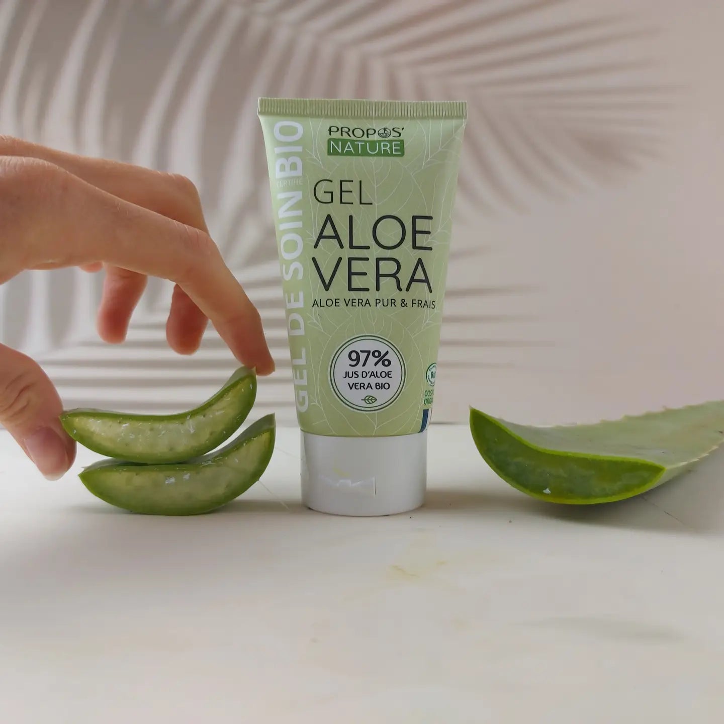 Gel de Aloe Vera Bio - Jugo de Filetes Frescos - 100ml