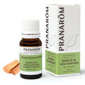 Aceite Esencial Sándalo de las Indias 10 ml