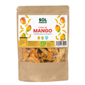 Chips de Mango Bio
