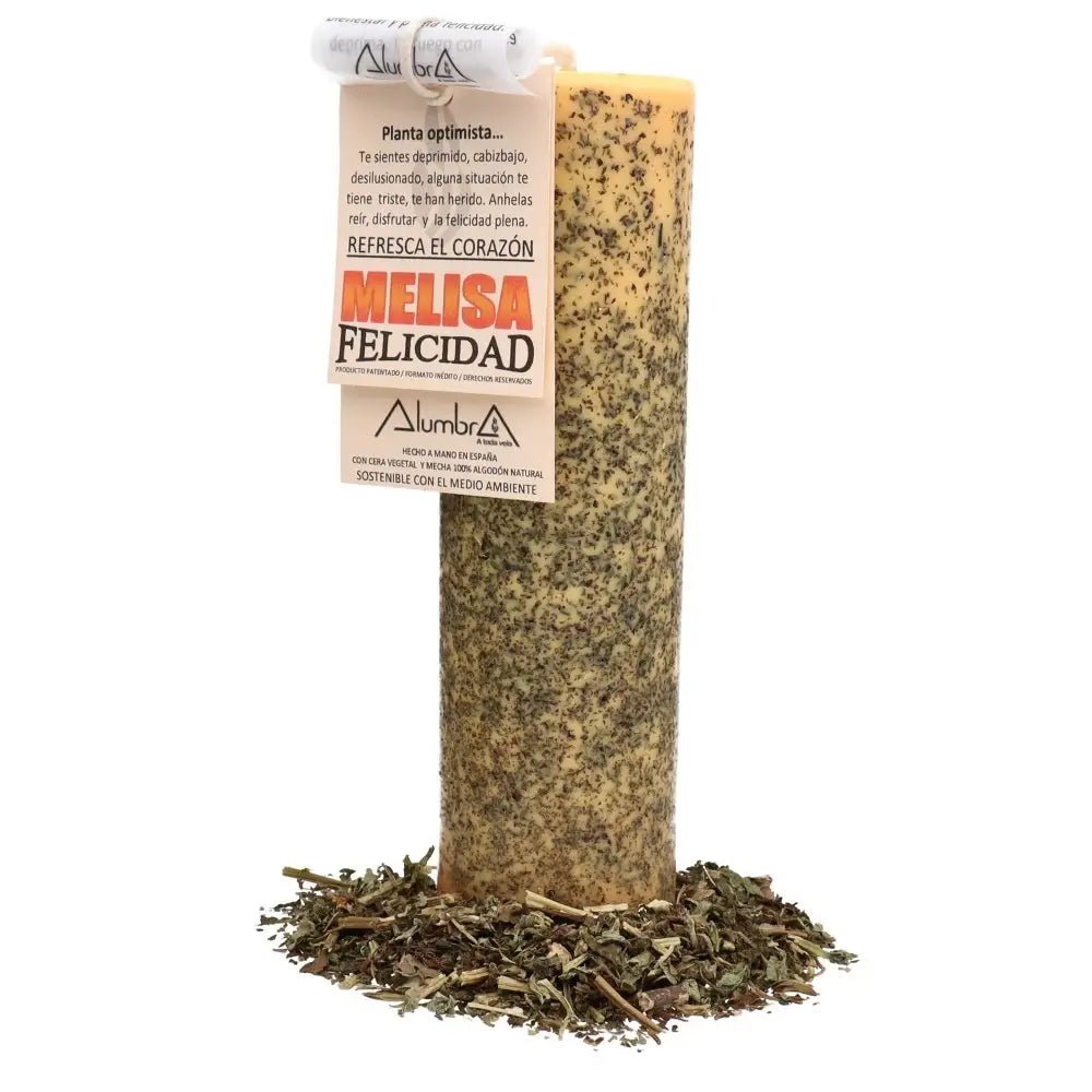 Vela artesanal con Melisa - Felicidad