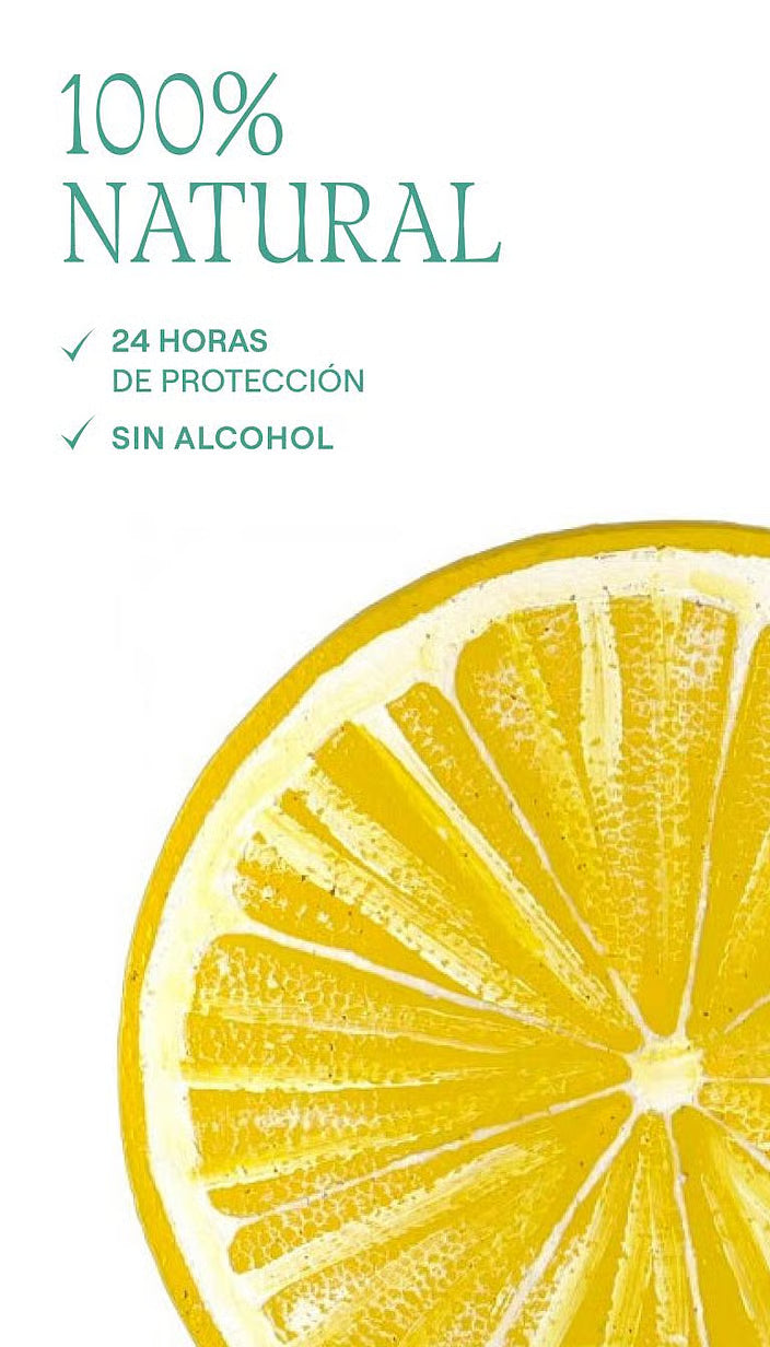 Desodorante Stick Citrus - WELEDA