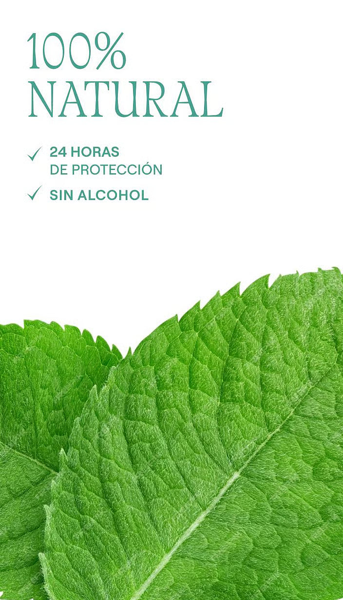 Desodorante Stick Eucaliptus - WELEDA