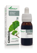 Ginkgo Extracto