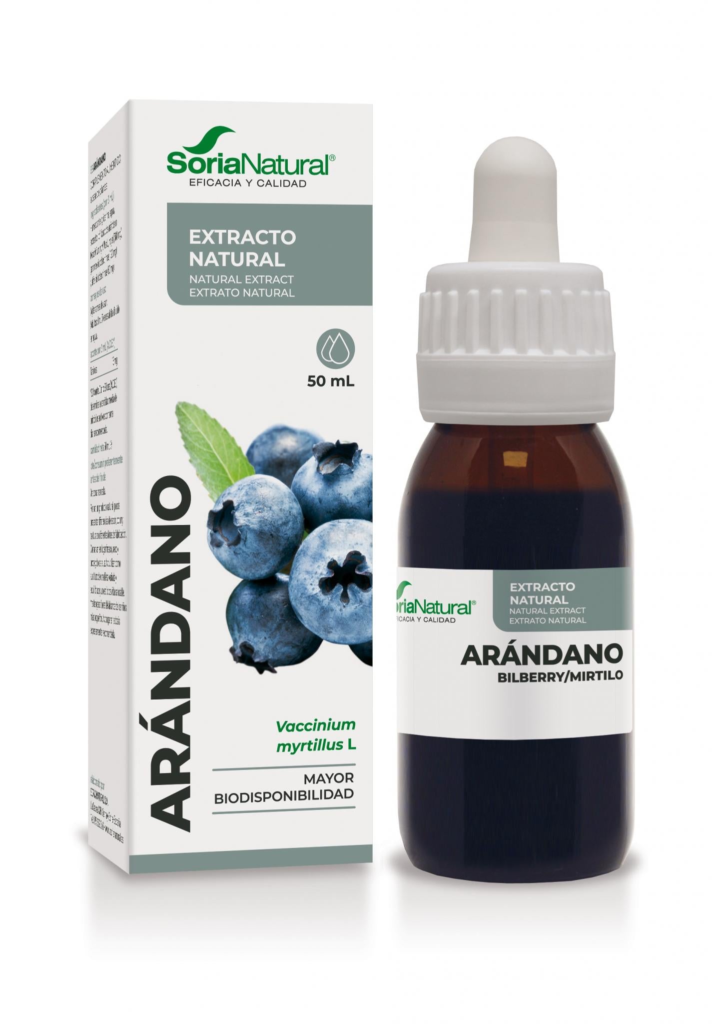 Arandano Extracto