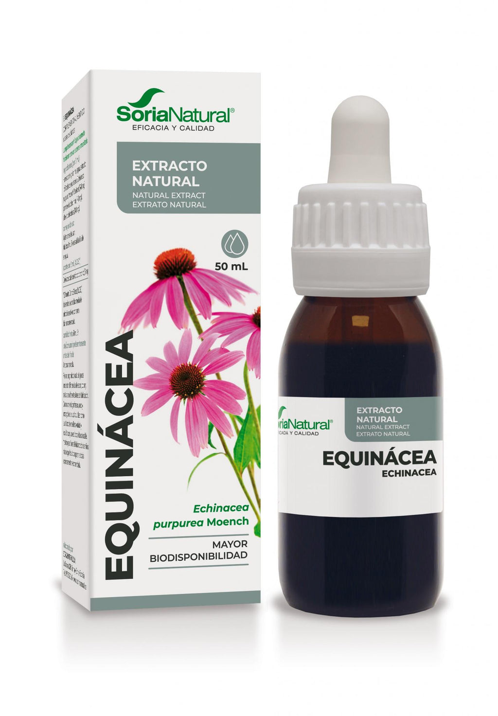 Equinacea Extracto