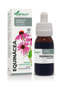 Equinacea Extracto
