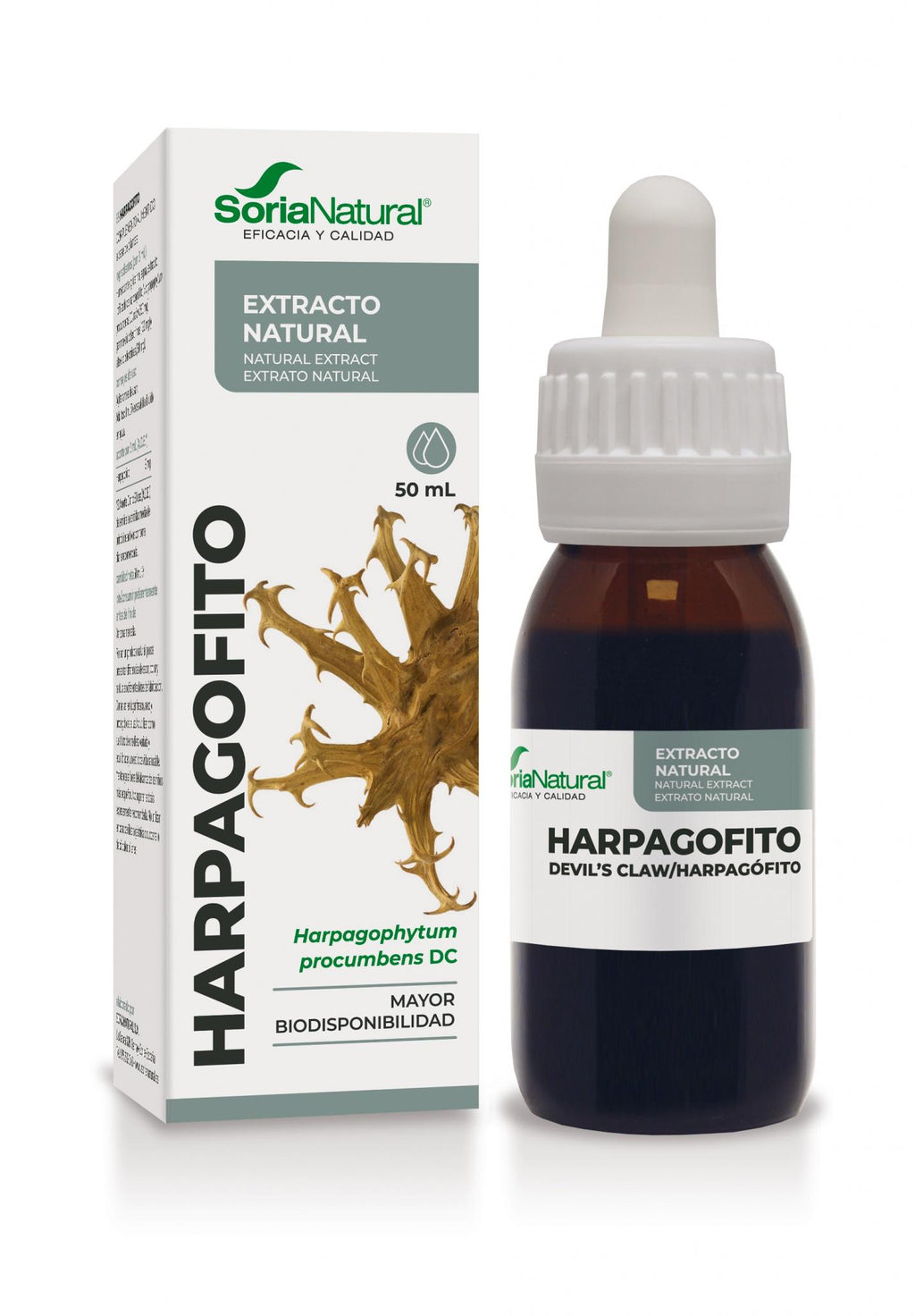 Harpagofito Extracto