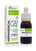 Hepavesical Composor 03