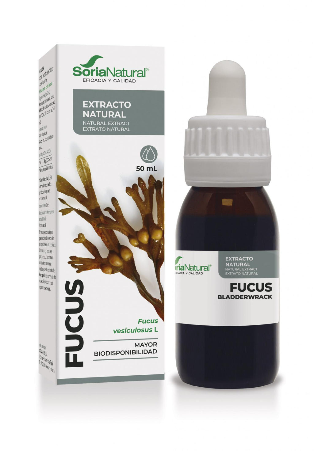 Fucus Extracto
