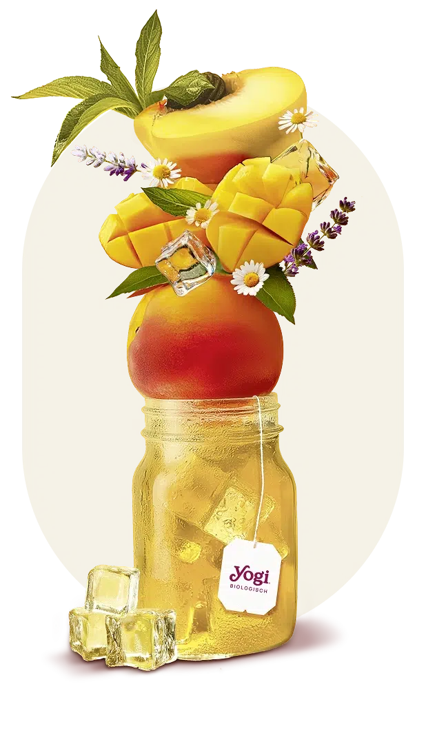 Yogi Tea Frio Melocoton y Mango