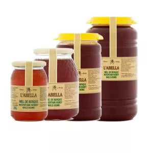 Miel de Bosque 500g