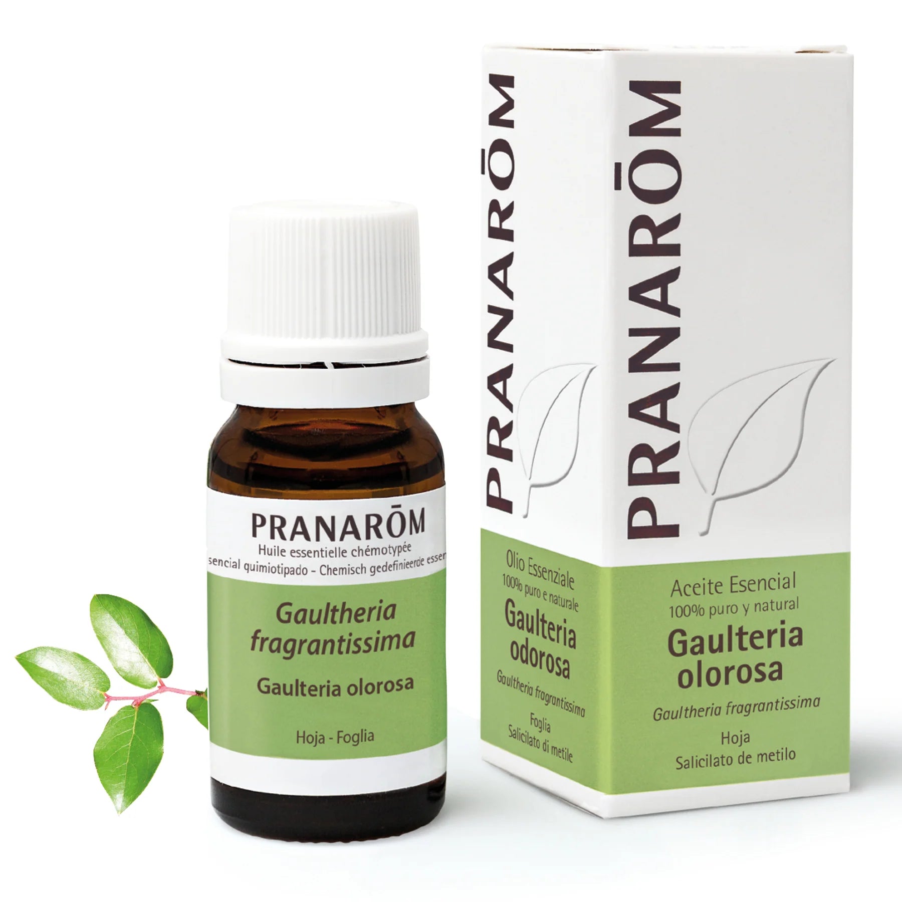 Aceite Esencial Gaulteria Olorosa 10 ml - Bio