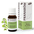 Aceite Esencial Menta de Campo 10 ml - Bio
