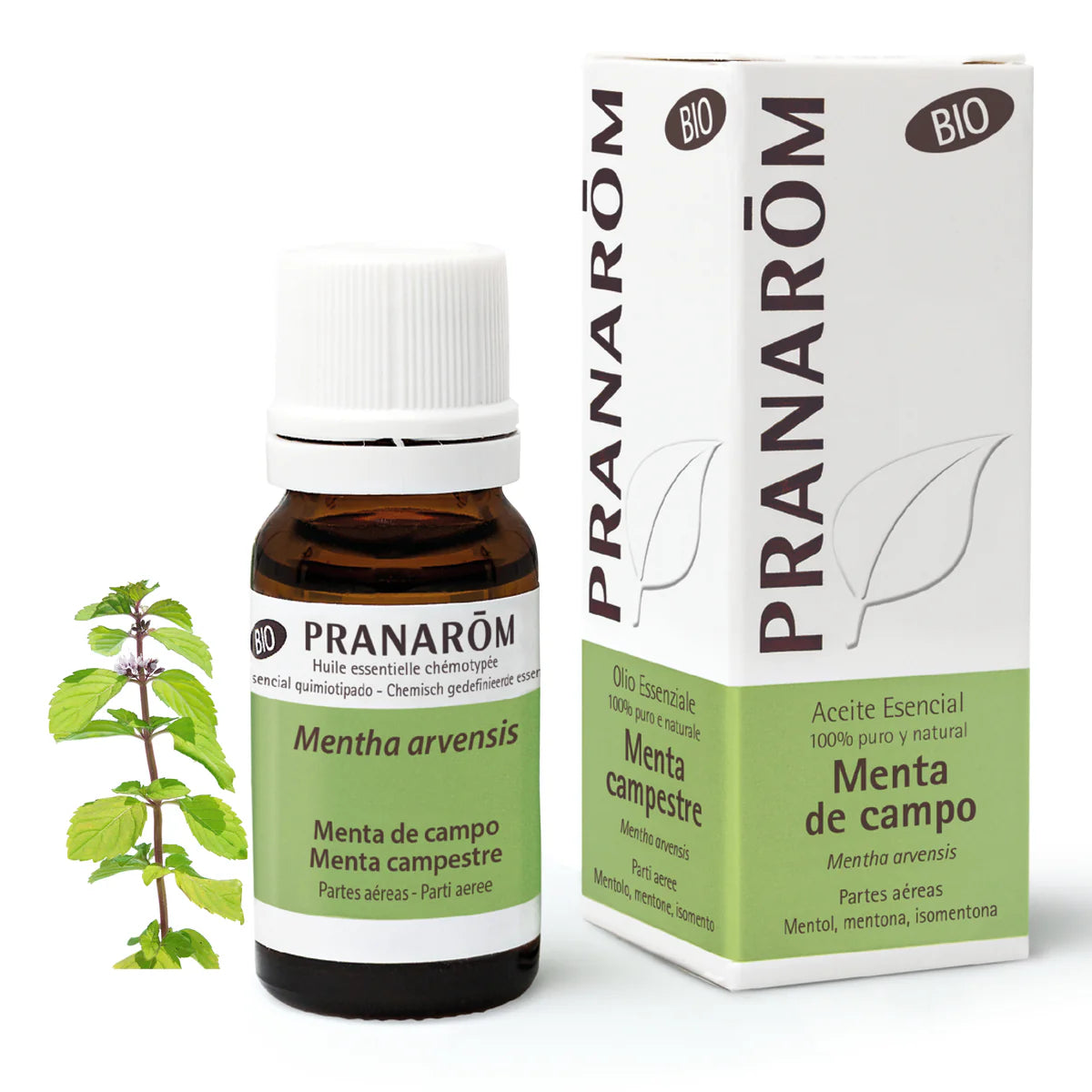 Aceite Esencial Menta de Campo 10 ml - Bio