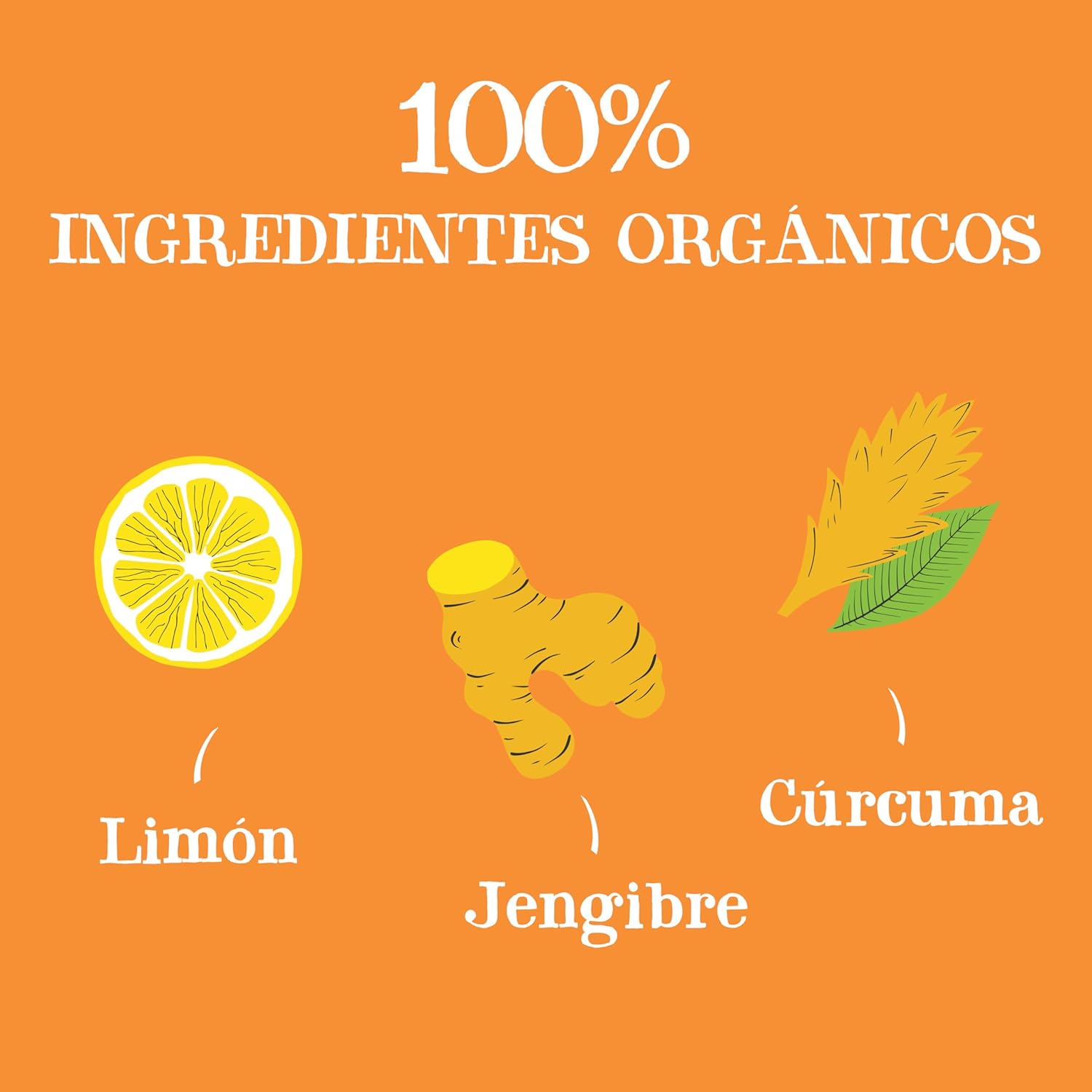 Infusión fría eco con limón, jengibre y cúrcuma