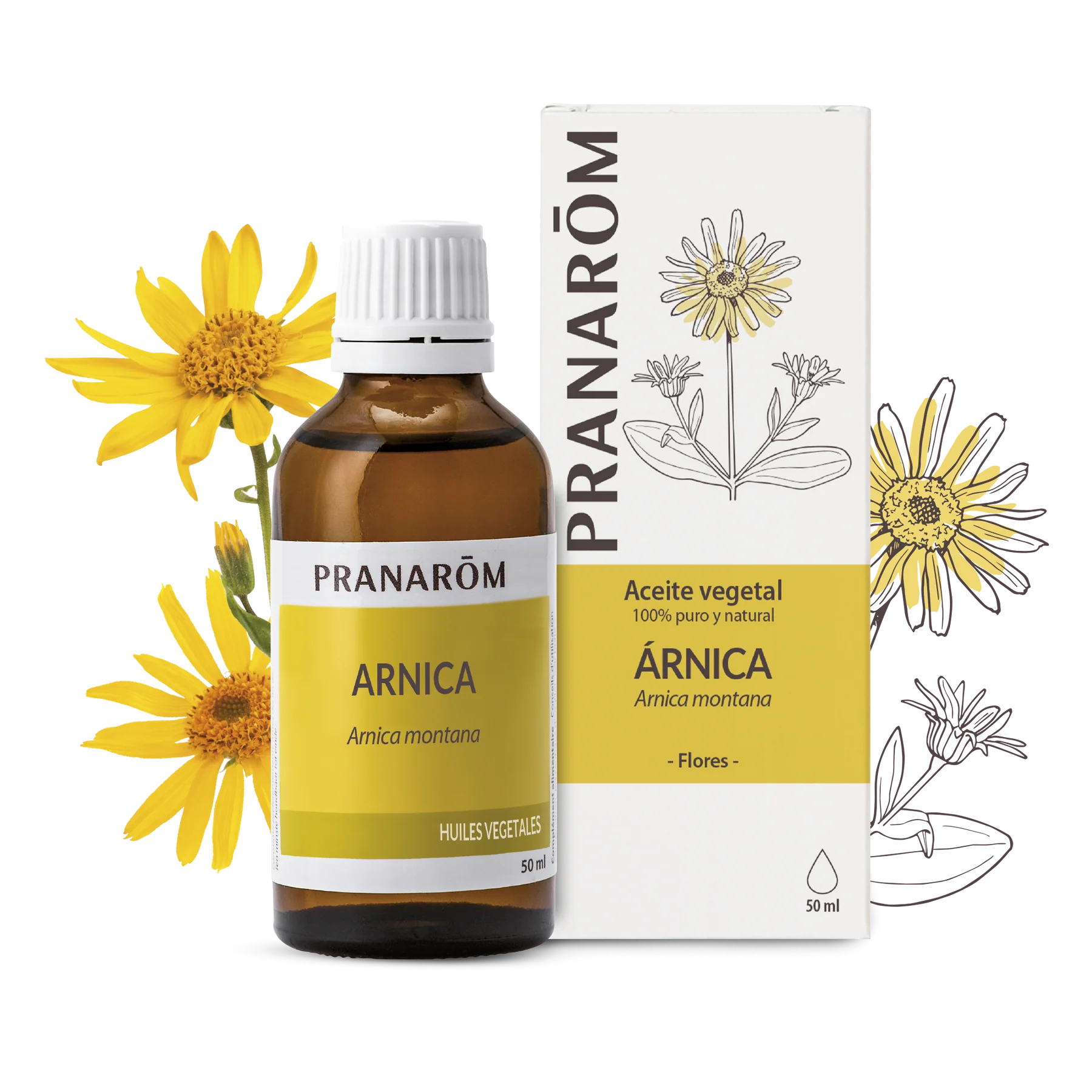 Aceite Vegetal Árnica 50 ml