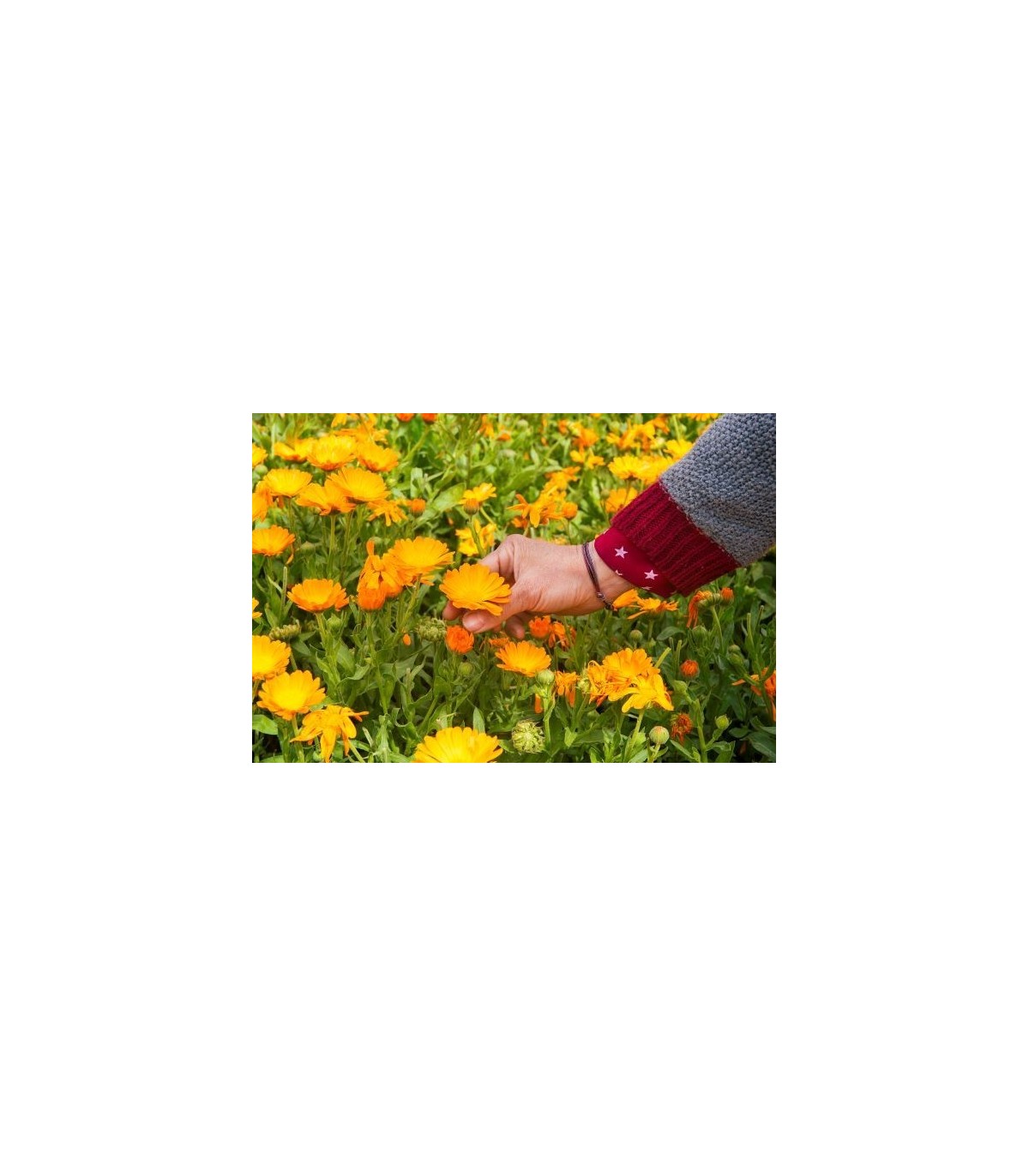 Hidratante Nutritiva Piel Sensible 100% Bio